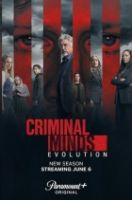 TV program: Myšlenky zločince (Criminal Minds)