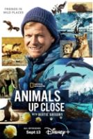 Zvířata zblízka s Bertiem Gregorym (Animals Up Close with Bertie Gregory)